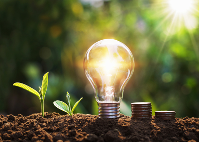 light bulb glowing with seedlings and coins in soil symbolizing growth